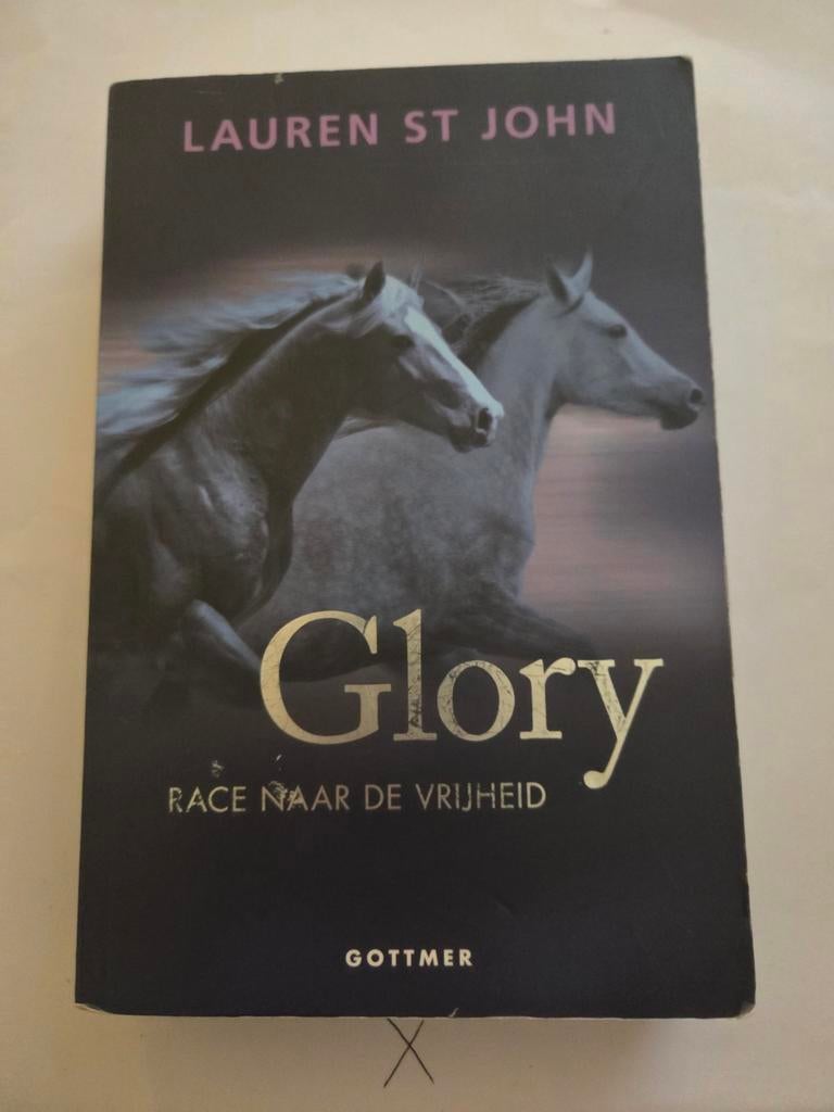 Glory: Race naar de Vrijheid - Lauren St John, Boeken, Ophalen of Verzenden, Gelezen, Lauren St John