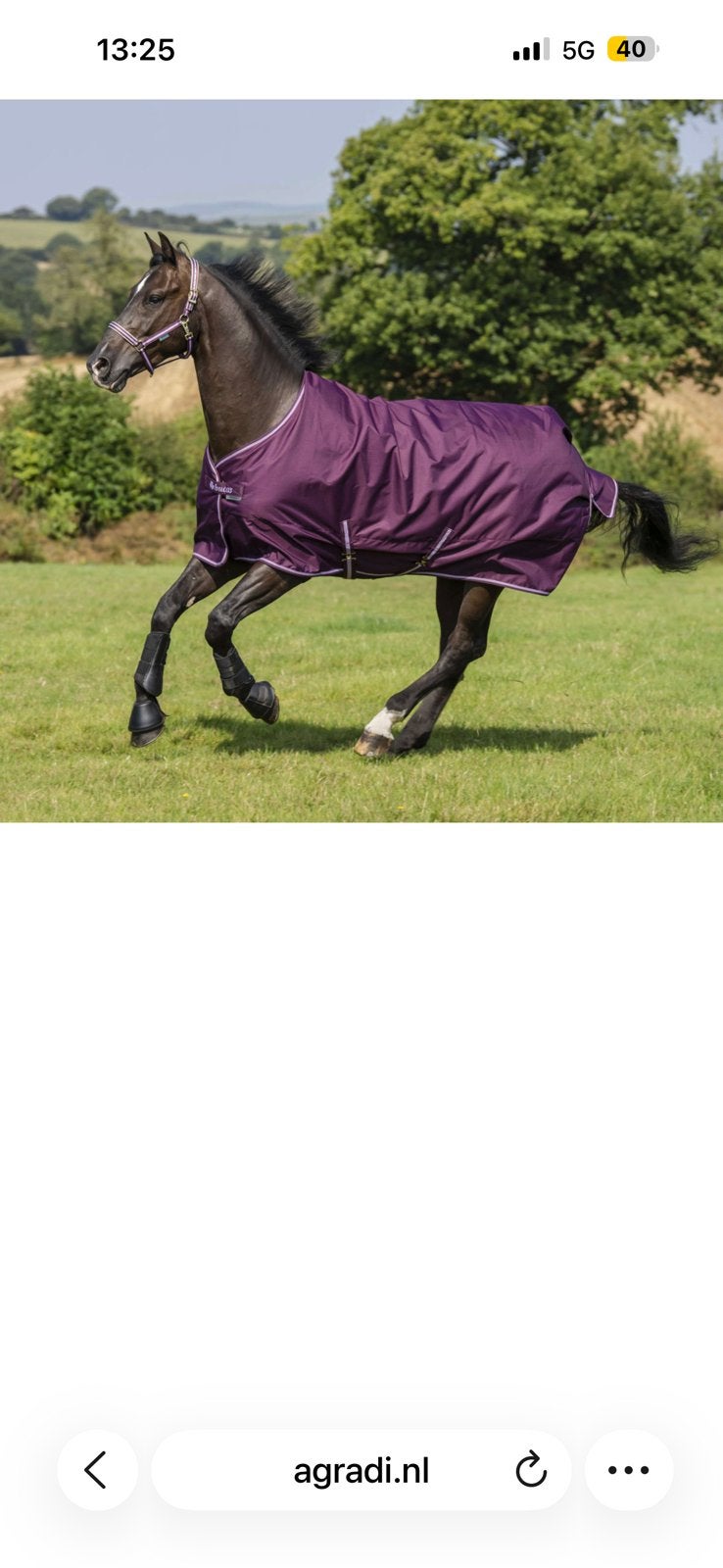 Bucas Freedom Turnout Blackberry – 198 / 6’6, Ophalen of Verzenden, Nieuw