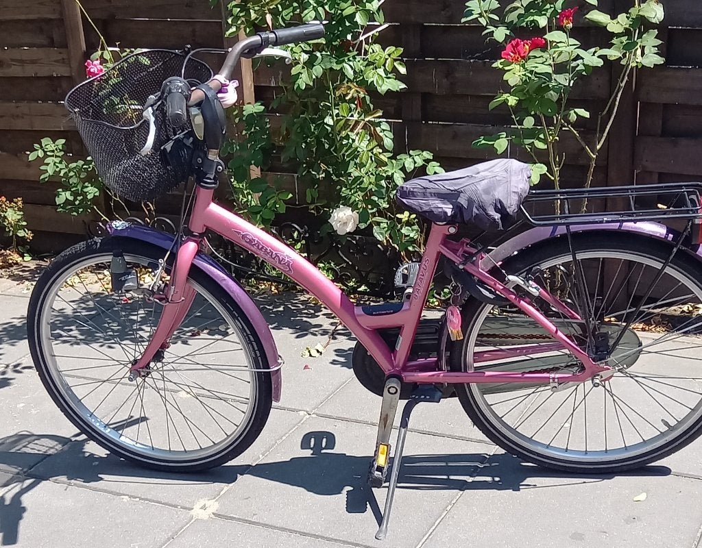 Fiets batavus, Ophalen, Gebruikt, 20 inch of meer, Batavus
