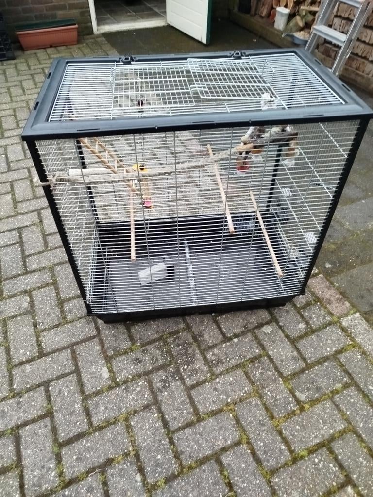 Ruime vogelkooi, Ophalen of Verzenden, Metaal, Vogelkooi