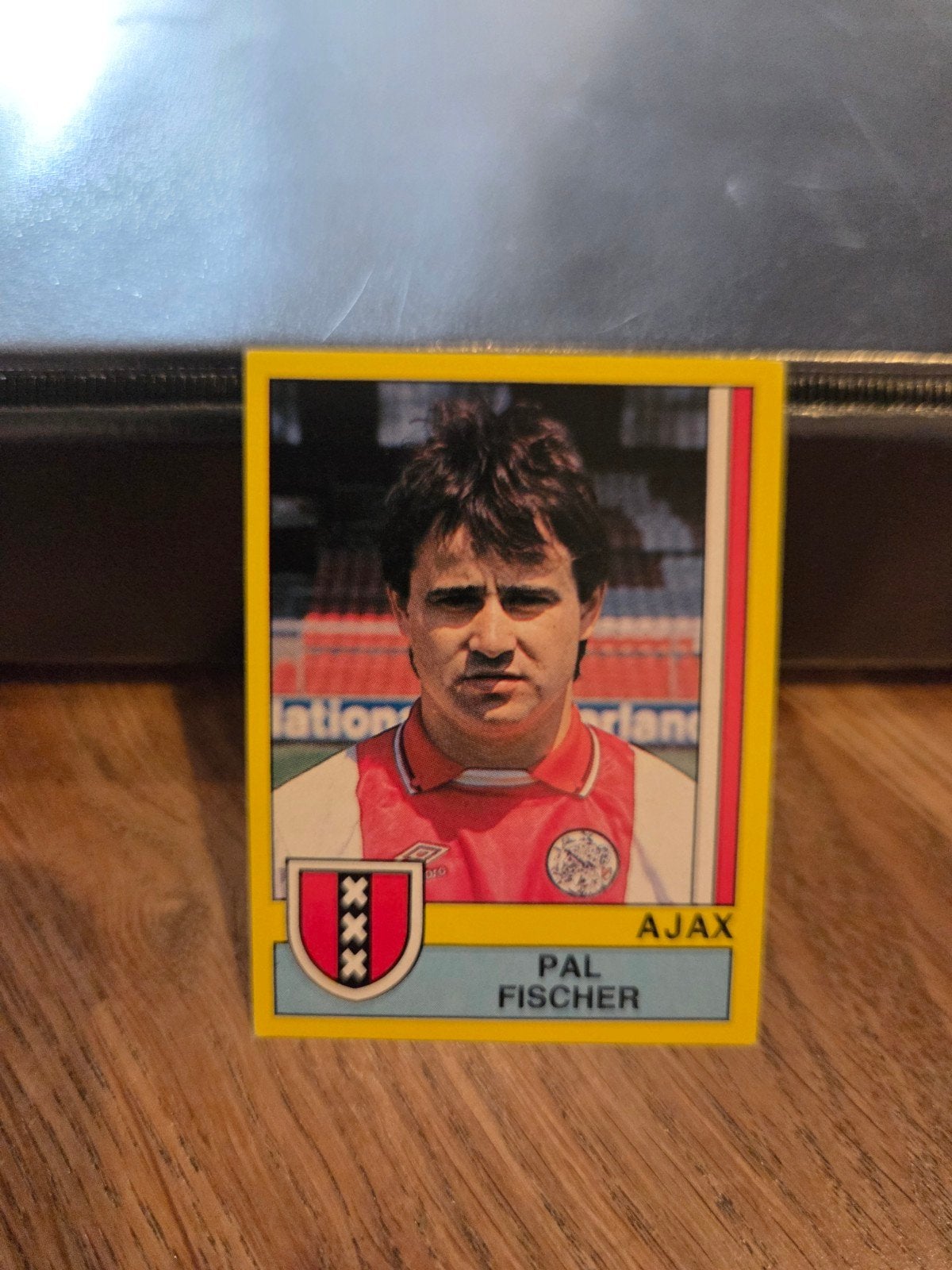 Panini Voetbal 90, Verzamelen, Sportartikelen en Voetbal, Ophalen of Verzenden, Zo goed als nieuw, Poster, Plaatje of Sticker