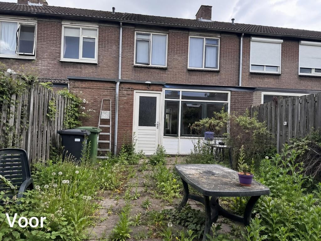 Tuinman Gezocht? Uw tuin weer netjes en strak! Rijnmond e.o, Diensten en Vakmensen, Tuinmannen en Stratenmakers