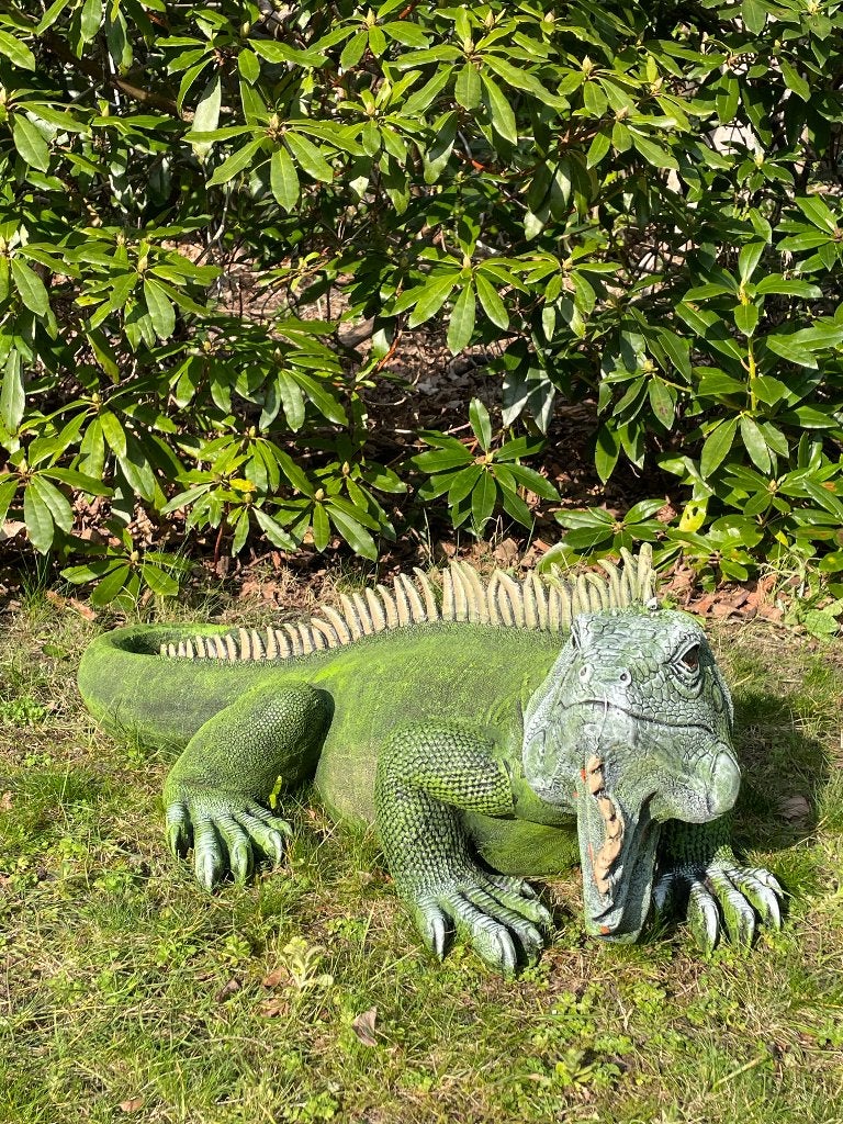 Leguaan, Groen, tuin, zwembad, vijver, salamander 100cm, Ophalen, Nieuw, Kunststof, Dierenbeeld