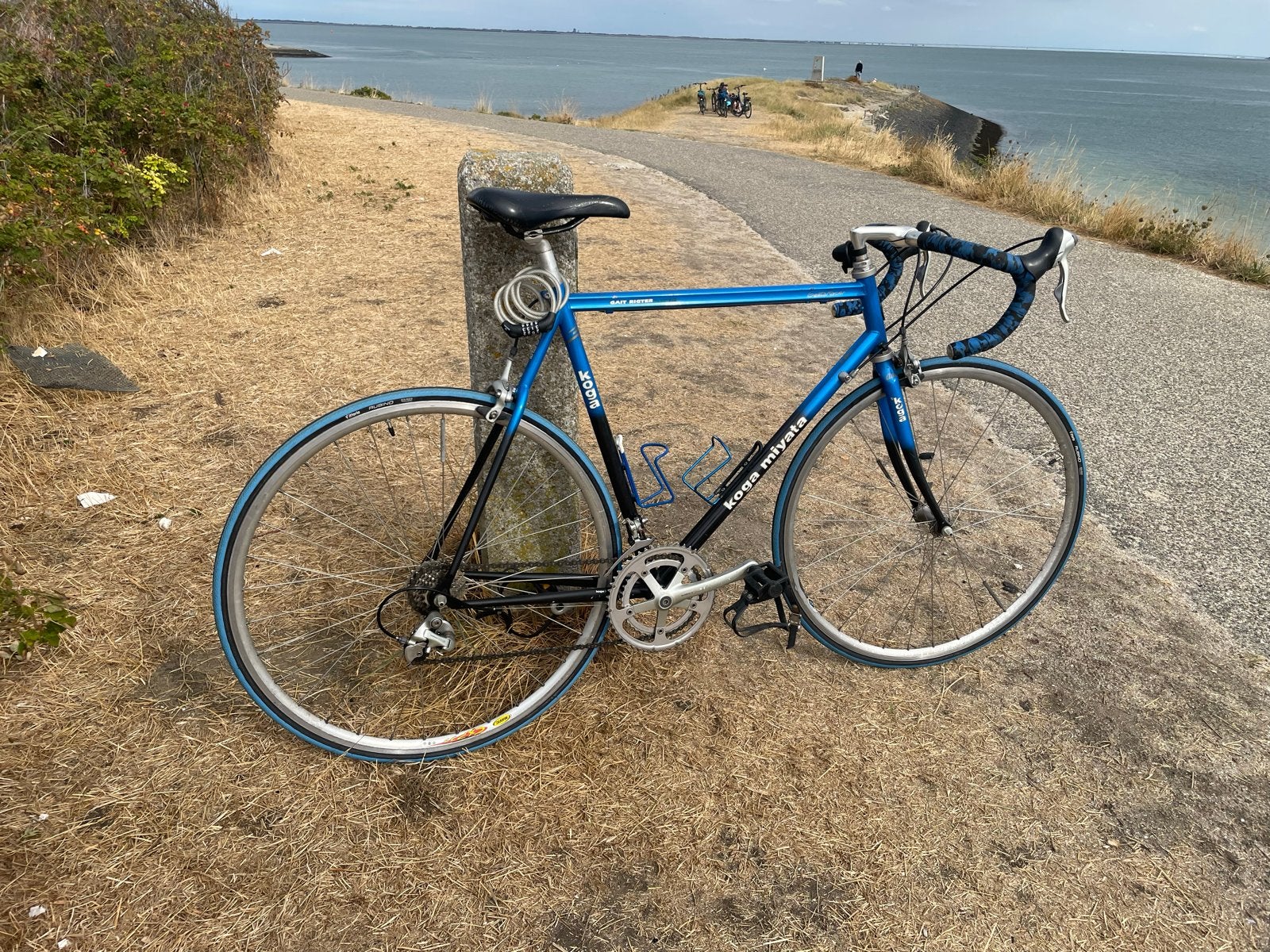 Koga Miyata racefiets, maat 58, Ophalen, 28 inch, Gebruikt, Aluminium