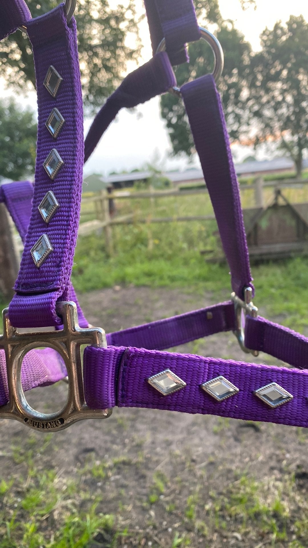 Paars blingend halster Cob, Ophalen, Zo goed als nieuw