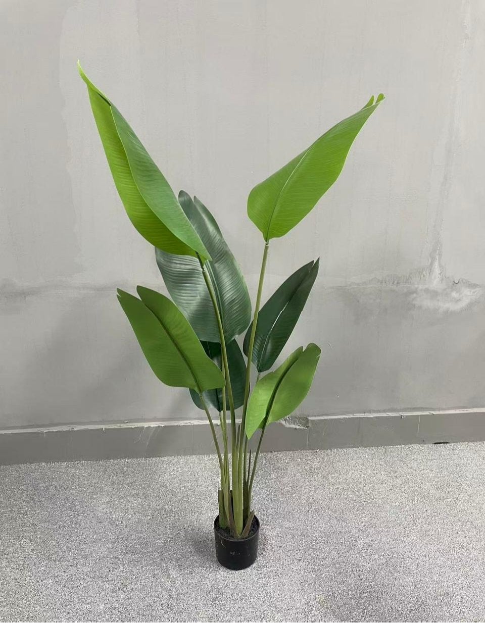 Grote Kunstplant Strelitzia, Binnen, Groen, Kunstplant, Nieuw