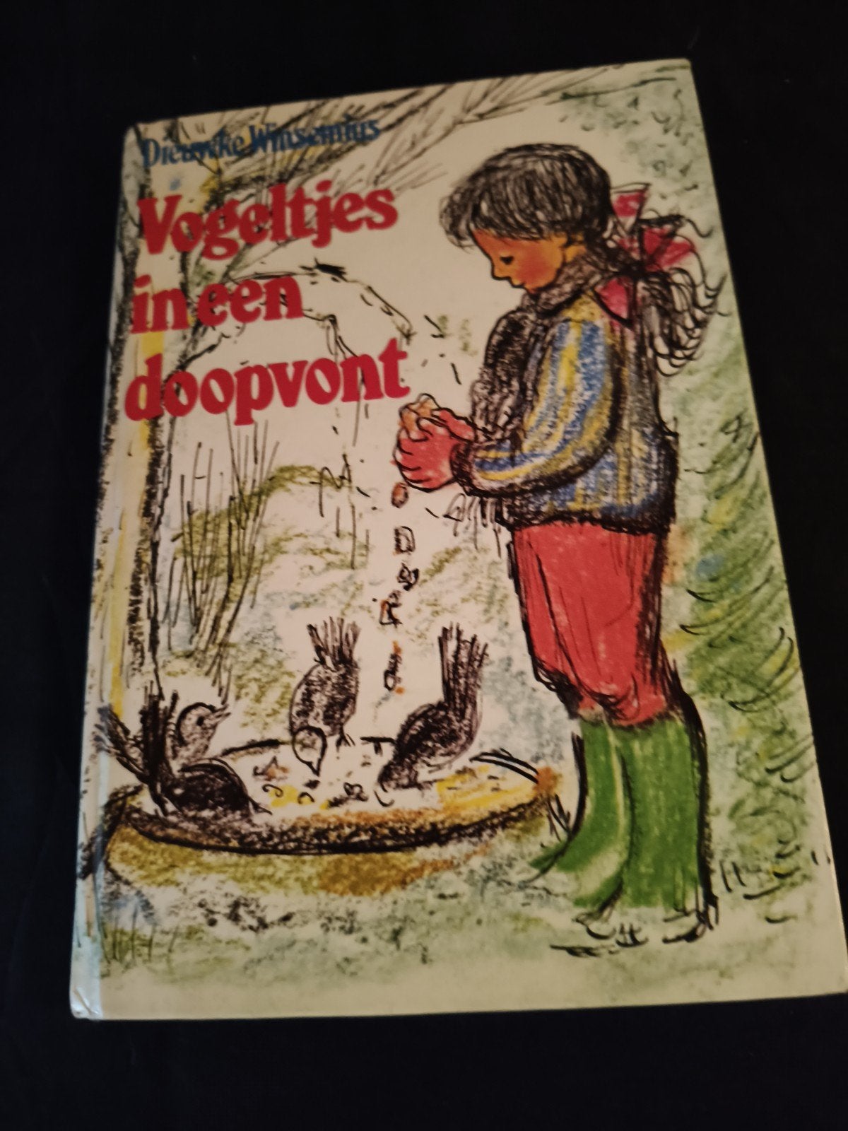 Vogeltjes in een doopvont - Dieuwke Winsenius, Ophalen of Verzenden, Gelezen, Dieuwke Winsenius, Fictie algemeen