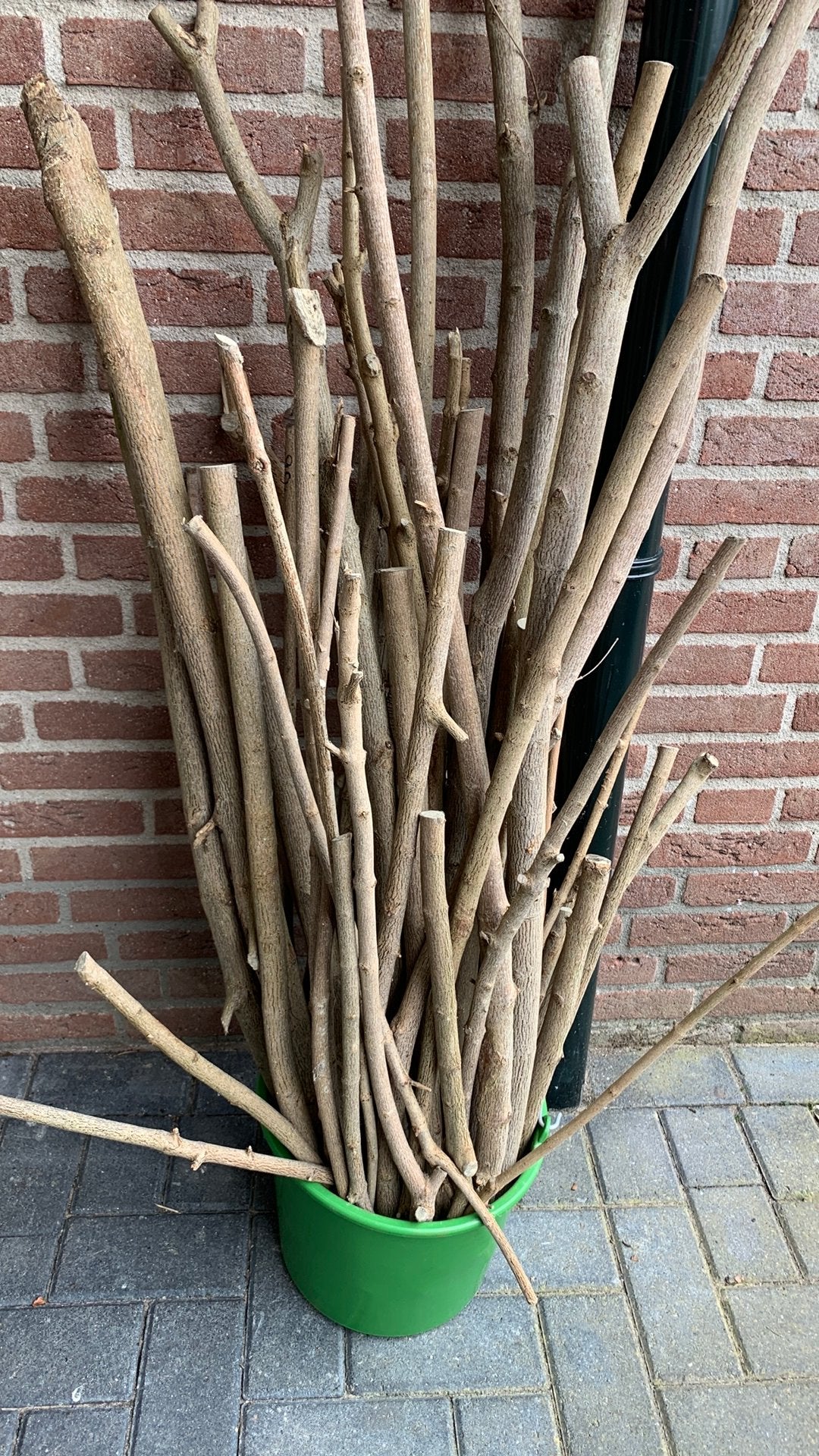 2 volle emmers snoei hout, Tuin en Terras, Haardhout, Minder dan 3 m³, Ophalen
