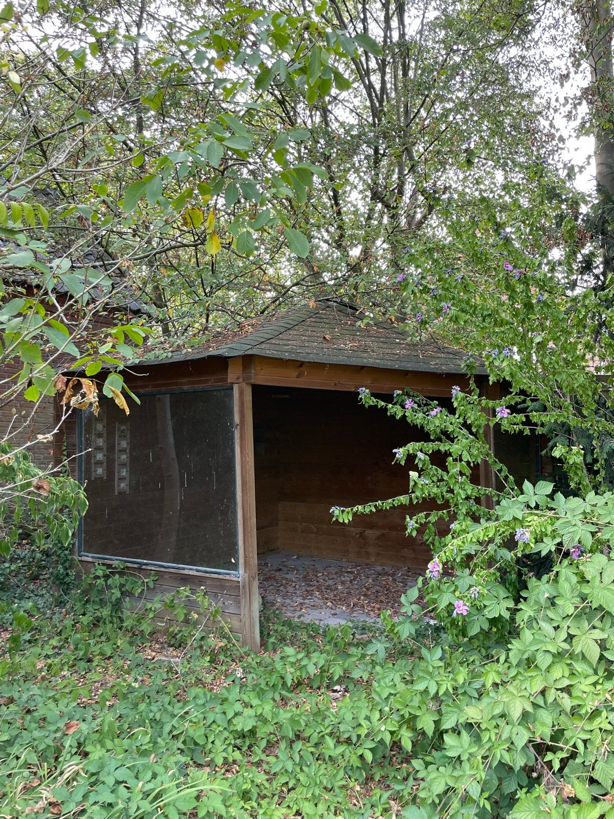 Houten Tuinhuis/Overkapping - Zelf demonteren en ophalen, Ophalen, Tuinhuis, 250 tot 500 cm, 2 ramen