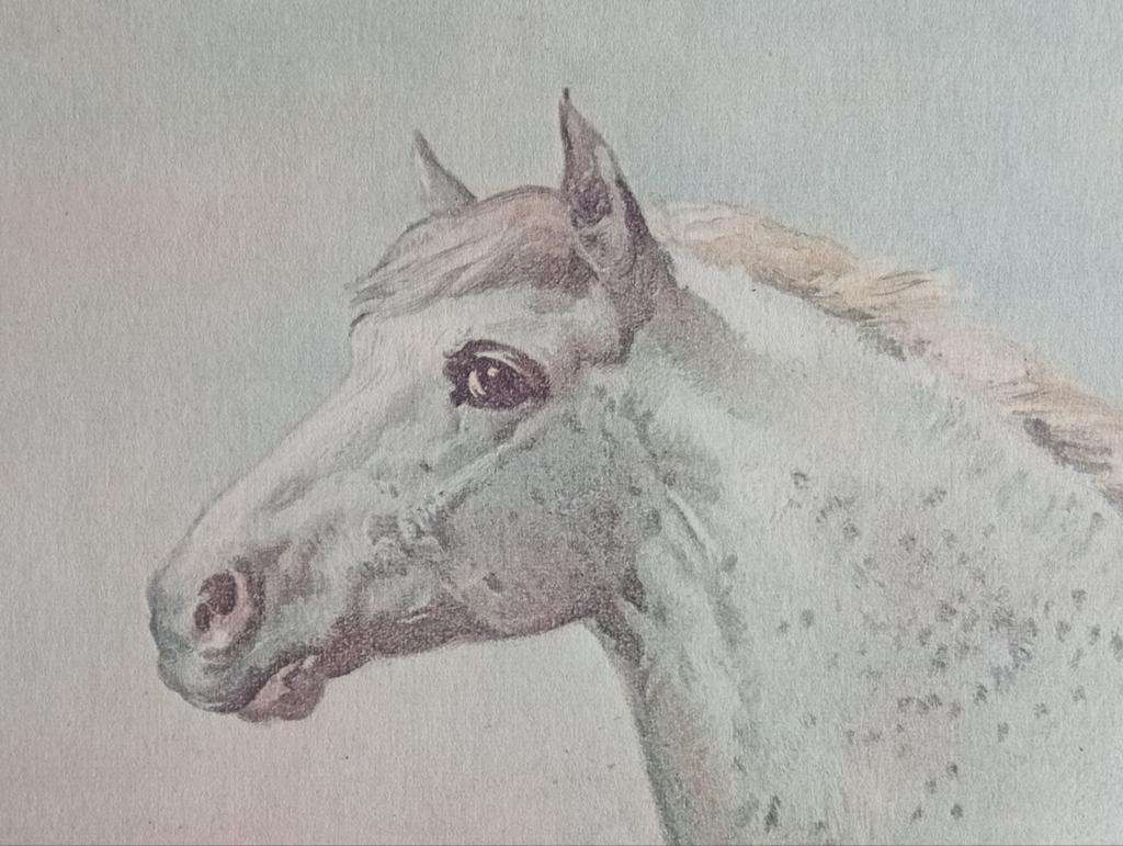 Otto Eerelman prent Paard, Ophalen of Verzenden, Voor 1940, Gebruikt, Overige onderwerpen
