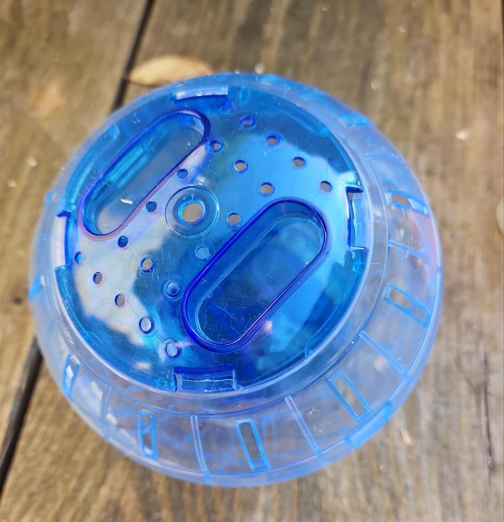 Loopbal hamster, Dieren en Toebehoren, Ophalen of Verzenden, Overige typen