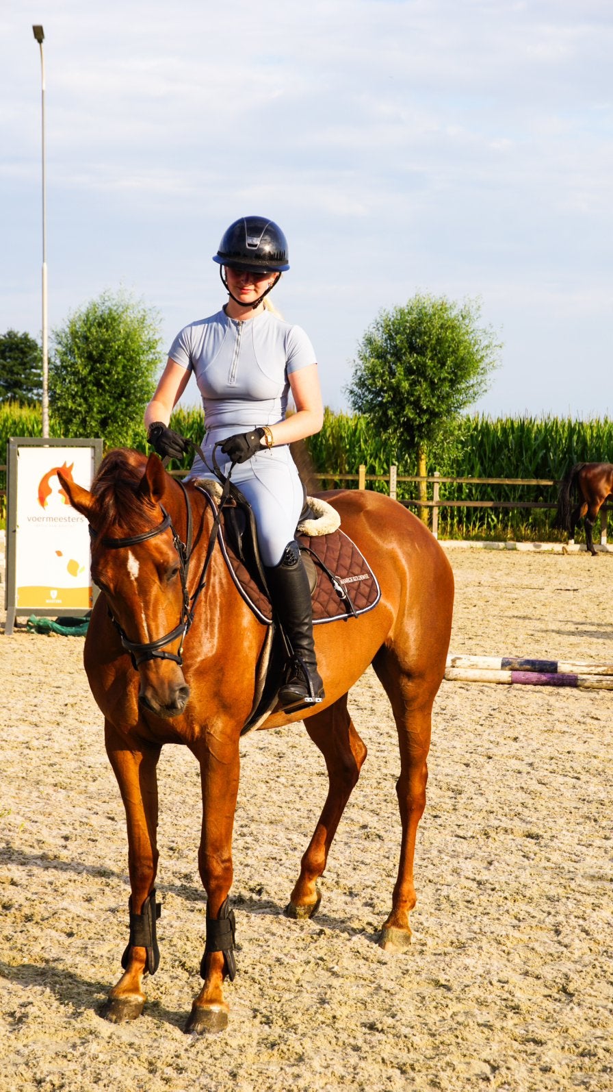 Bijrijd paard gezocht, Ophalen of Verzenden, Zo goed als nieuw