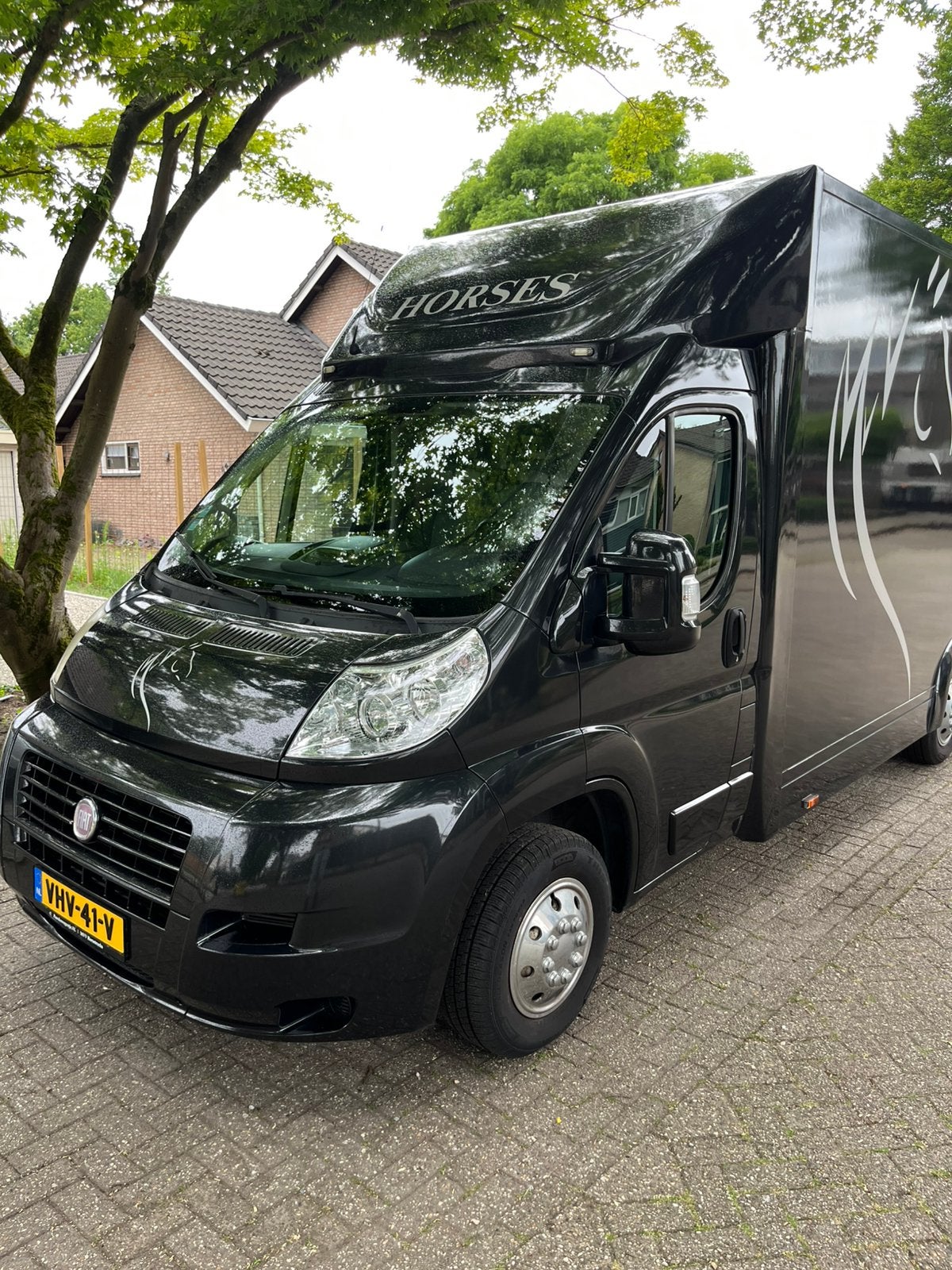 Zéér nette Fiat Ducato 2-paards paardenvrachtwagen, Dieren en Toebehoren, Ophalen, Gebruikt, Overige typen