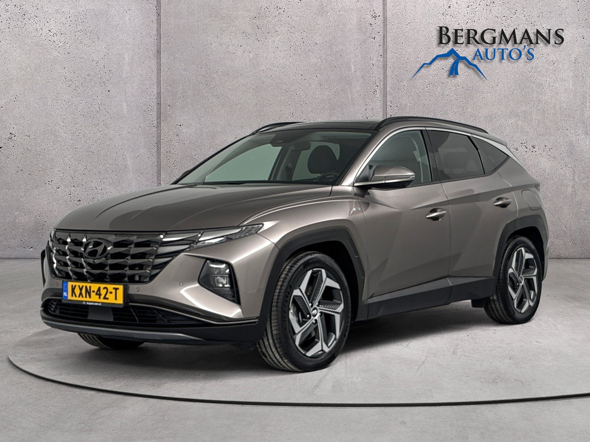 Hyundai Tucson 1.6 T-GDI MHEV Premium Sky // STOELVENTILATIE, Auto's, Dealer onderhouden, Gebruikt, 4 cilinders, 1650 kg