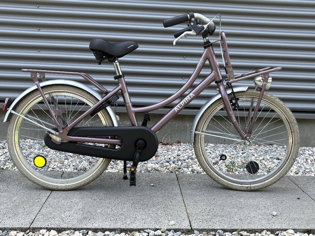 Alpina Cargo Meisjesfiets 20″ Wood Rose Matt, Ophalen, Terugtraprem, Alpina, 20 inch