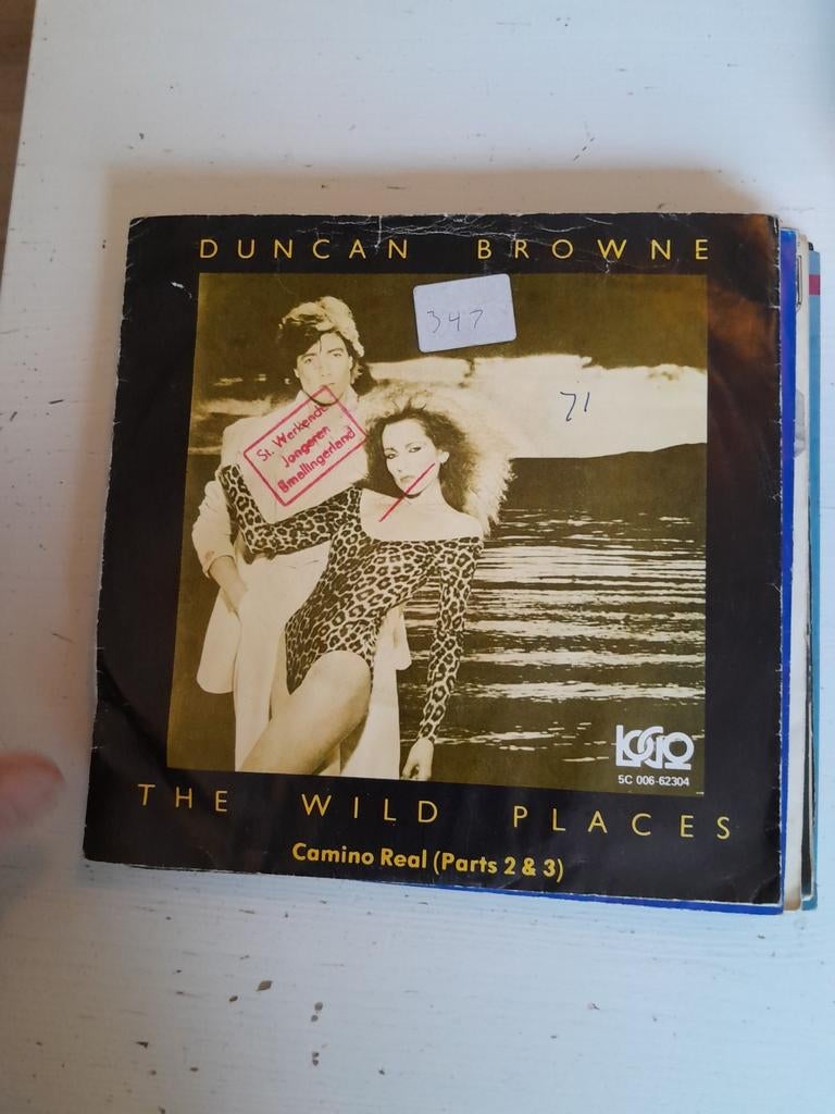 Duncan browne 7inch the wild places, Cd's en Dvd's, Ophalen of Verzenden, Zo goed als nieuw, Pop