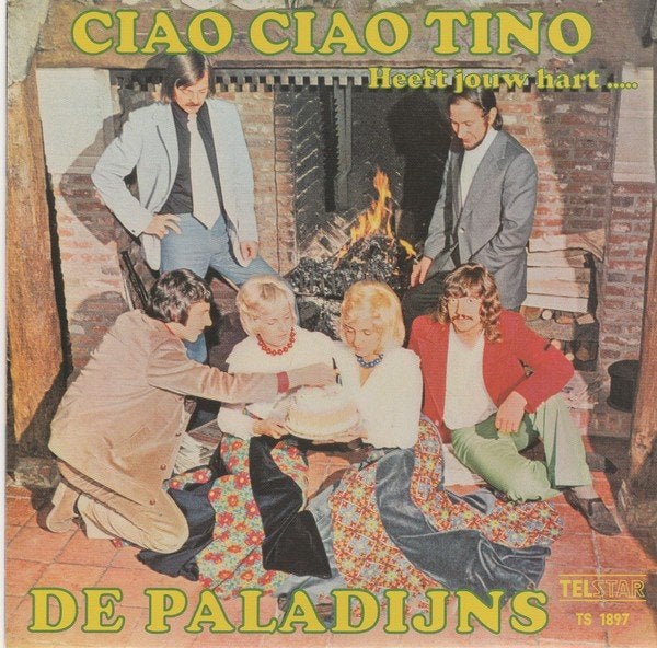 Nieuwpersingen vinylsingles gezocht zie foto's, Cd's en Dvd's, Vinyl | Nederlandstalig, Ophalen of Verzenden, Zo goed als nieuw