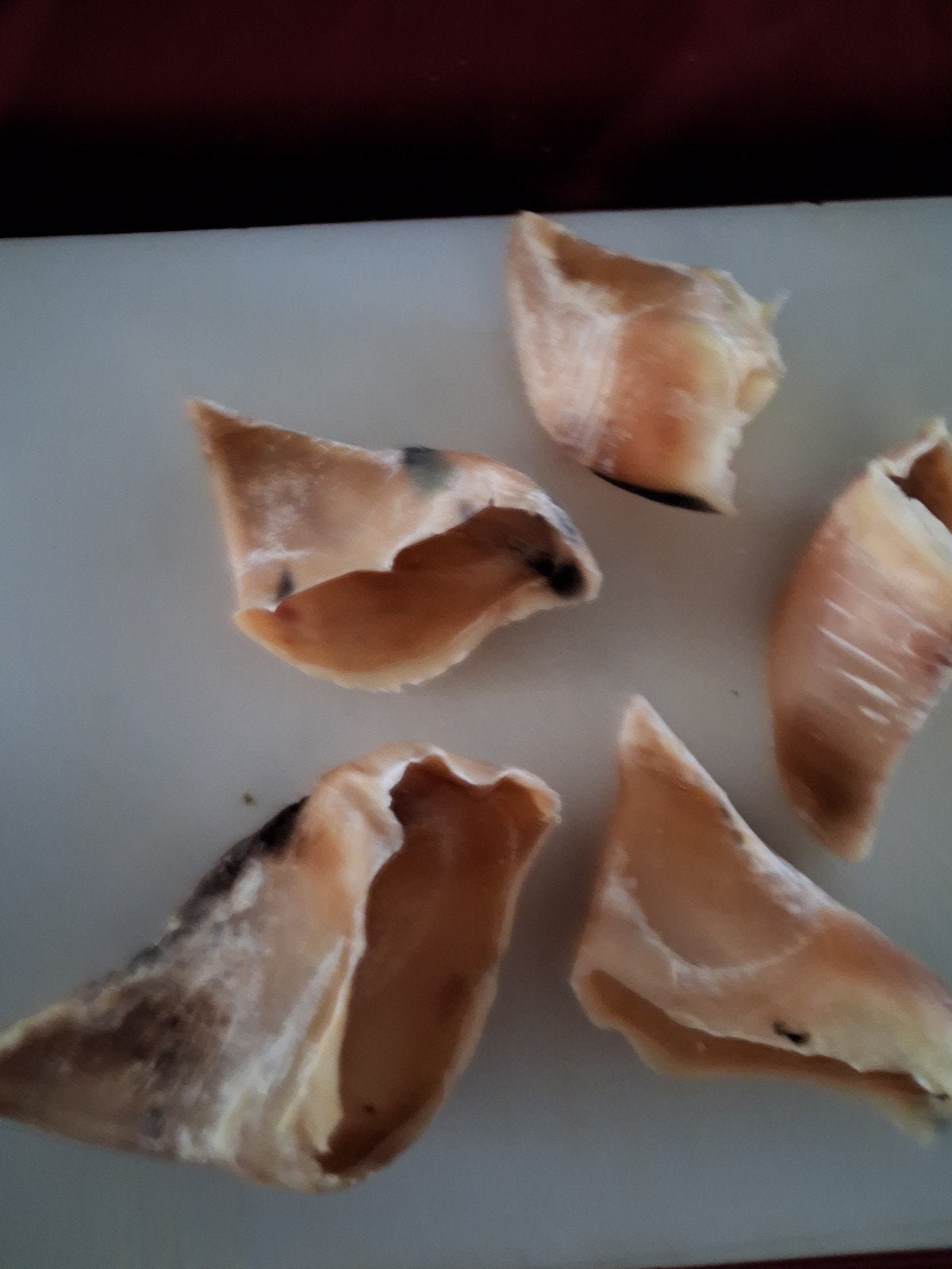 75 kalfshoefjes, Dieren en Toebehoren, Ophalen of Verzenden, Hond