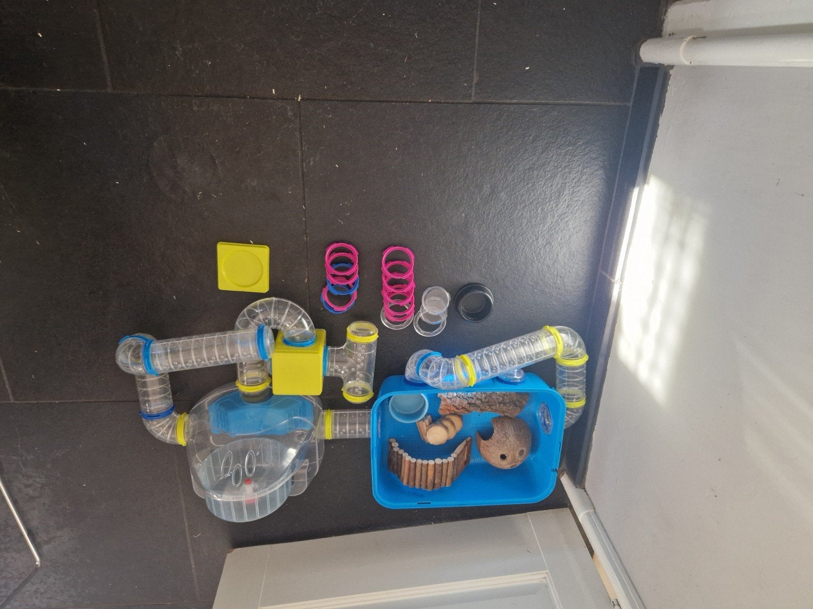 Blauwe dwerghamsterkooi met buizen en hamstergym, Ophalen, Gebruikt, Verzorging