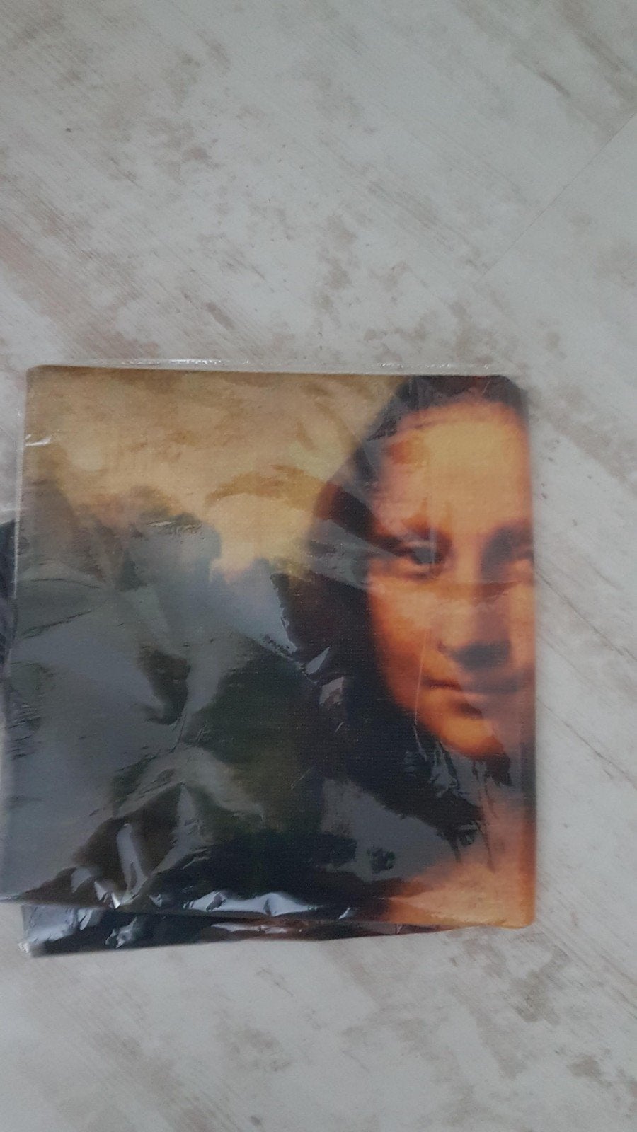 Mona Lisa kussenhoesje met rits, Bruin, Nieuw, Vierkant, Kussenhoes