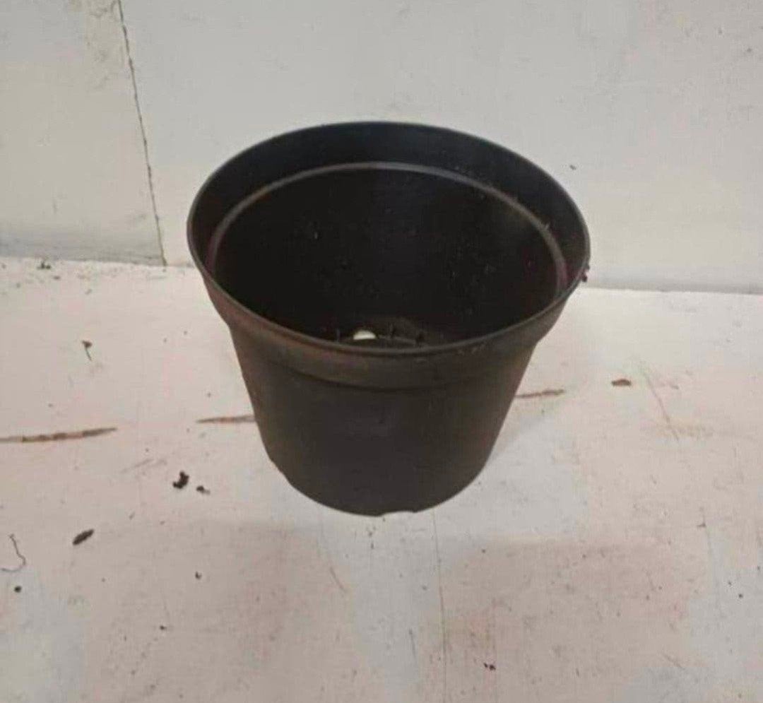 kweekpotten plantenpotten bloempotten 2 liter, Kunststof, Gebruikt, Rond, Ophalen of Verzenden