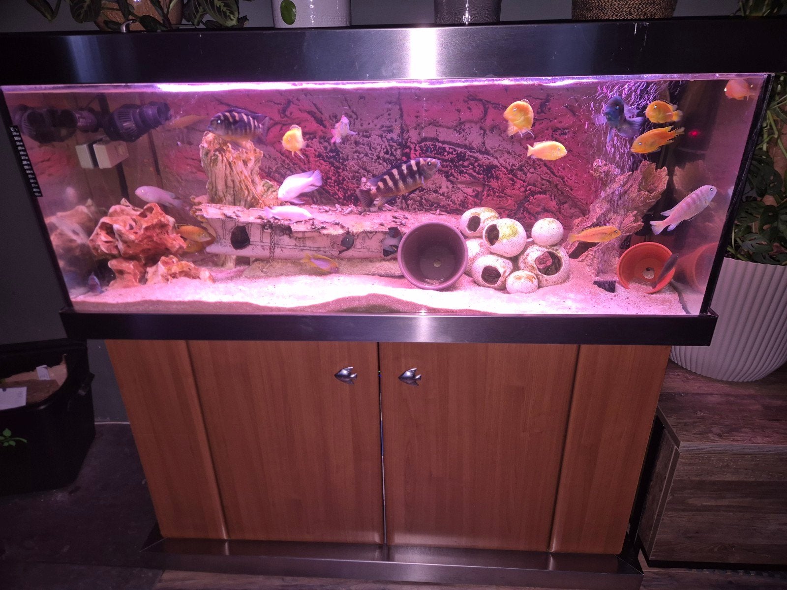 aquarium 300 liter, Dieren en Toebehoren, Ophalen, Leeg aquarium