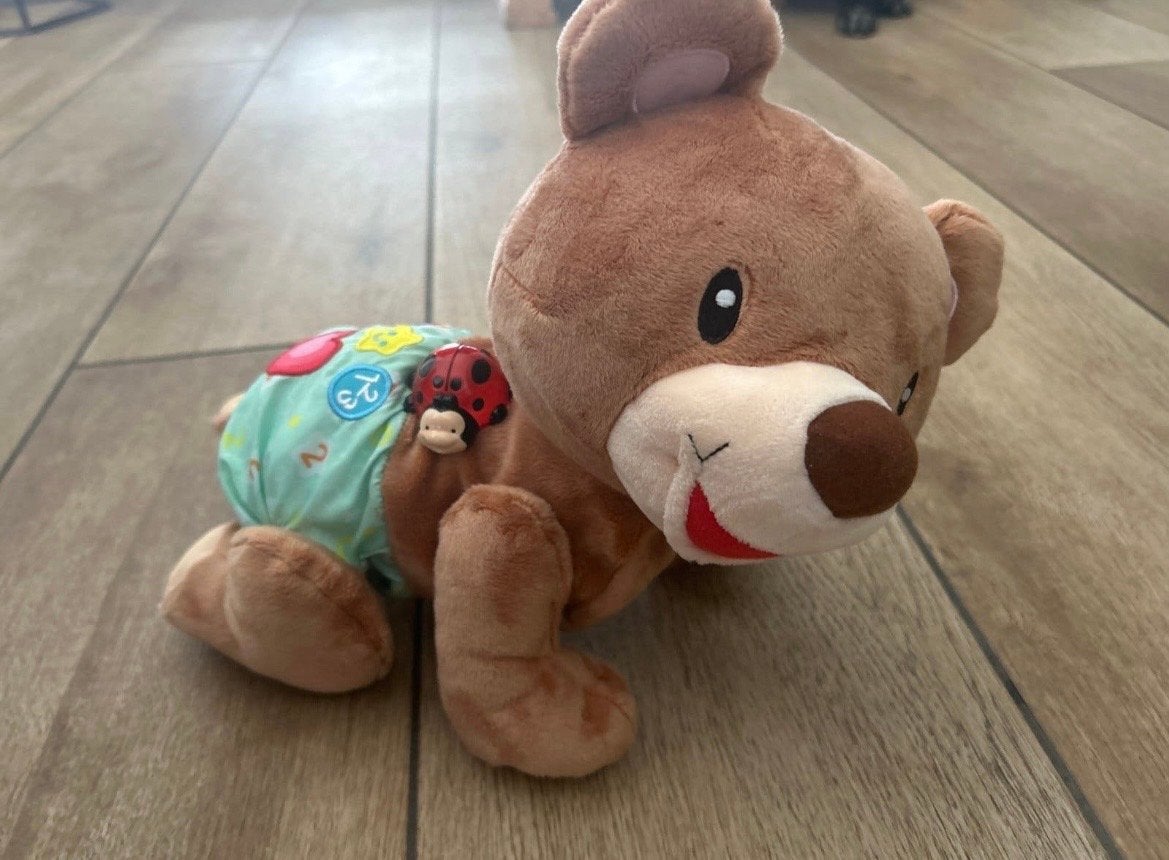 VTech Kruip met mij beer - Nieuwstaat, Ophalen of Verzenden, Zo goed als nieuw, 6 maanden tot 2 jaar