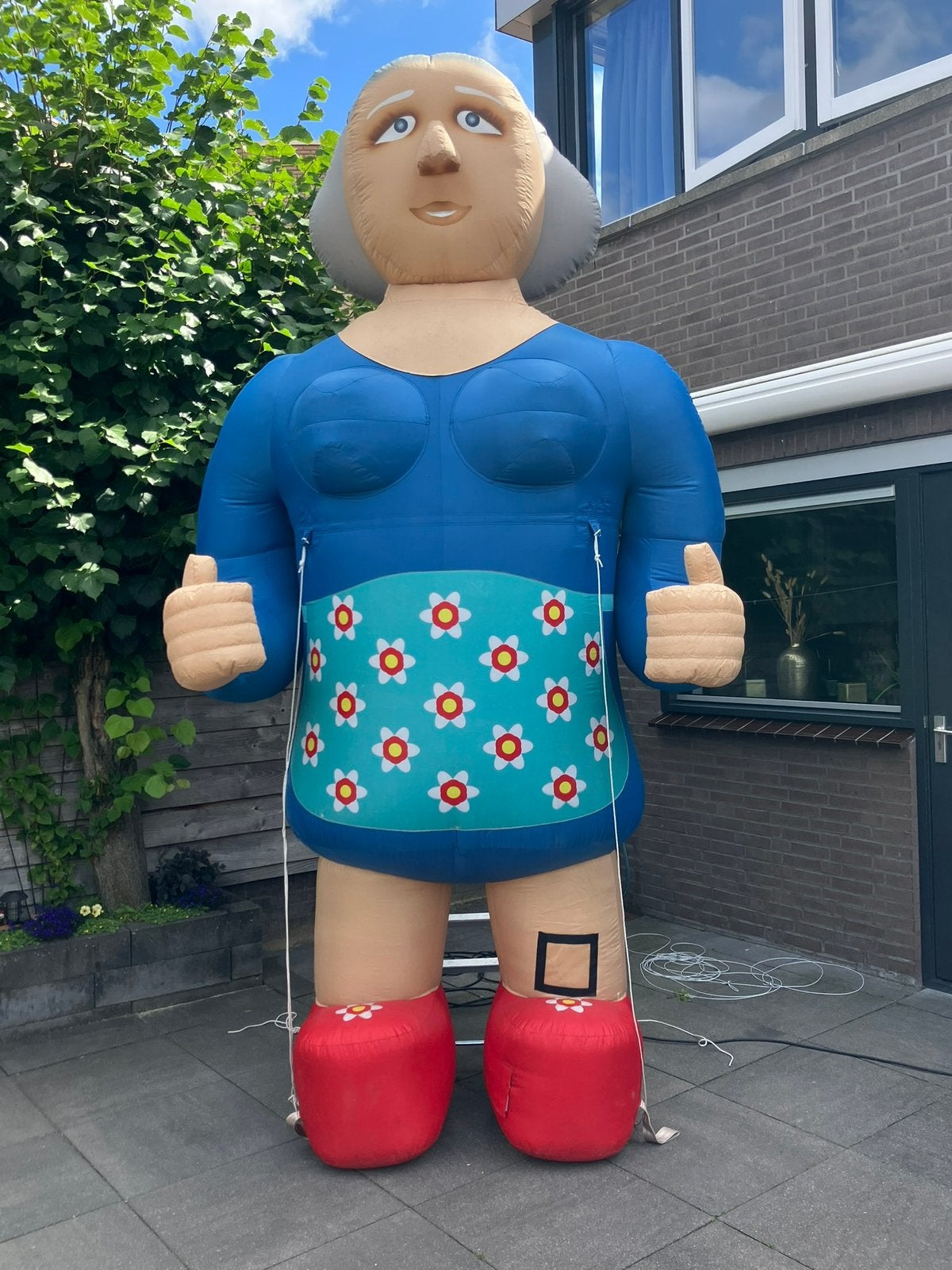 Sarah of Abraham te huur, feestvarken of ouwe l*l, Ophalen, Zo goed als nieuw, Abraham of Sarah