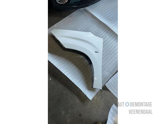 Scherm links-voor van een Citroen Berlingo (EWP), -, Nieuw, Ophalen of Verzenden, -
