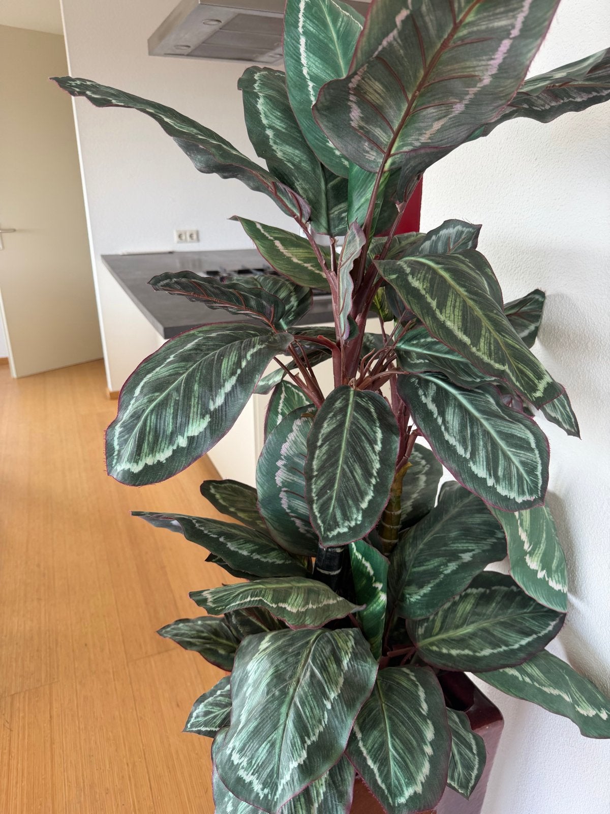 Grote realistische kunstplant Calathea in pot, Huis en Inrichting, Woonaccessoires | Kunstplanten en Kunstbloemen, Ophalen, Binnen