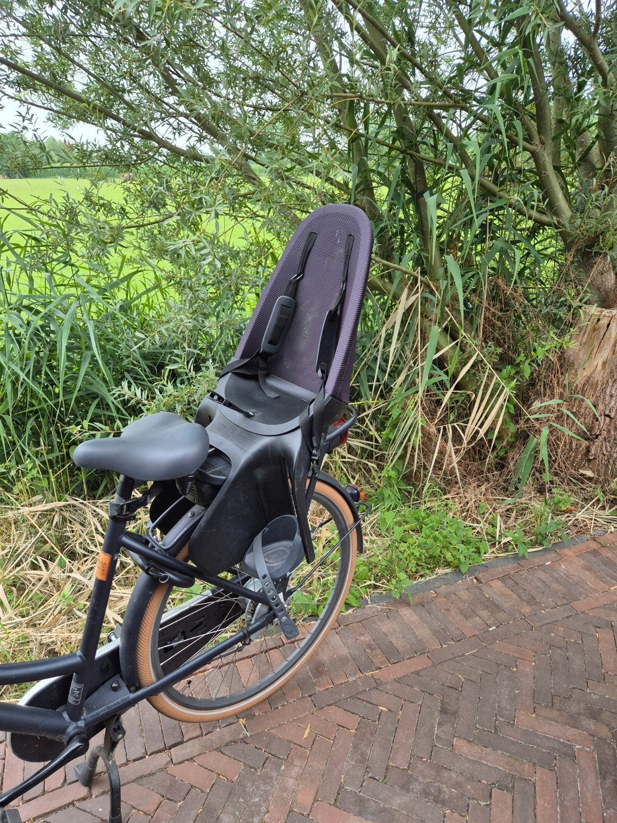 Achterzitje voor fiets, Ophalen, Voetsteuntjes