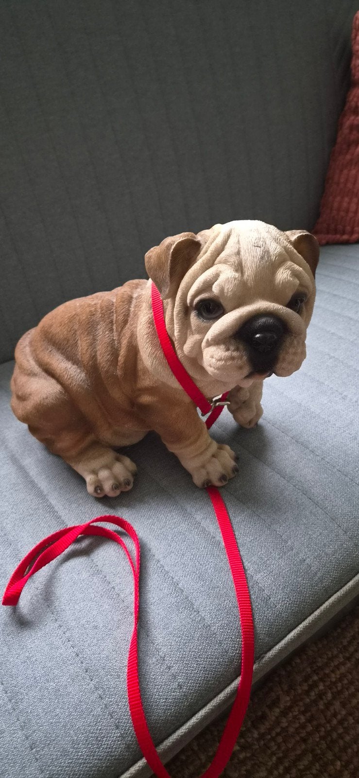 hars buldog puppie, Ophalen of Verzenden