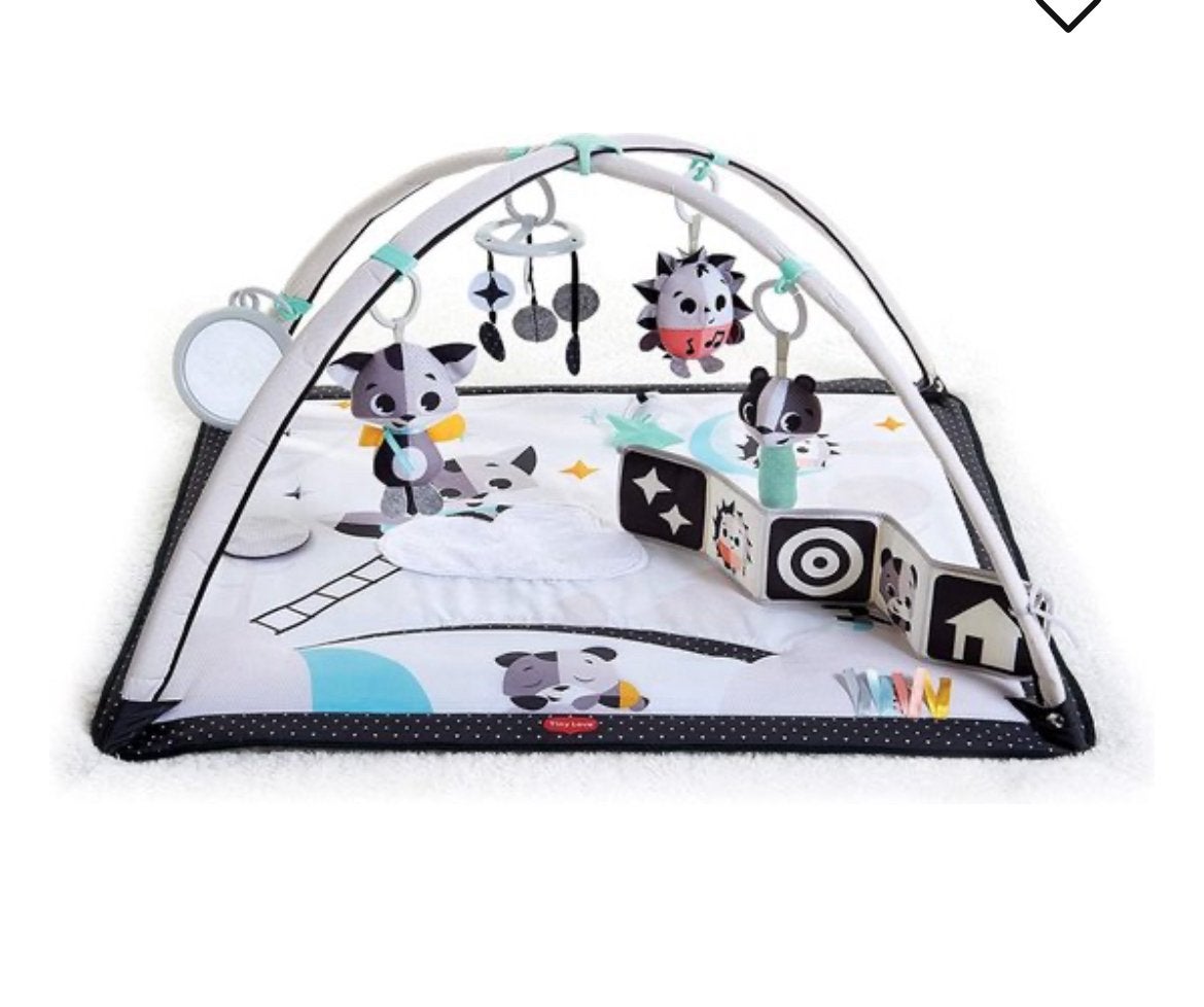 Tiny Love speelkleed, Ophalen, Zo goed als nieuw