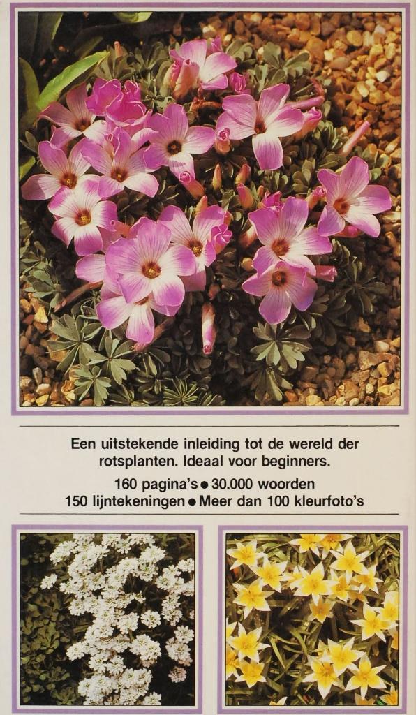 Rotsplanten (1983), Verzenden, Zo goed als nieuw, Tuinieren en Tuinplanten