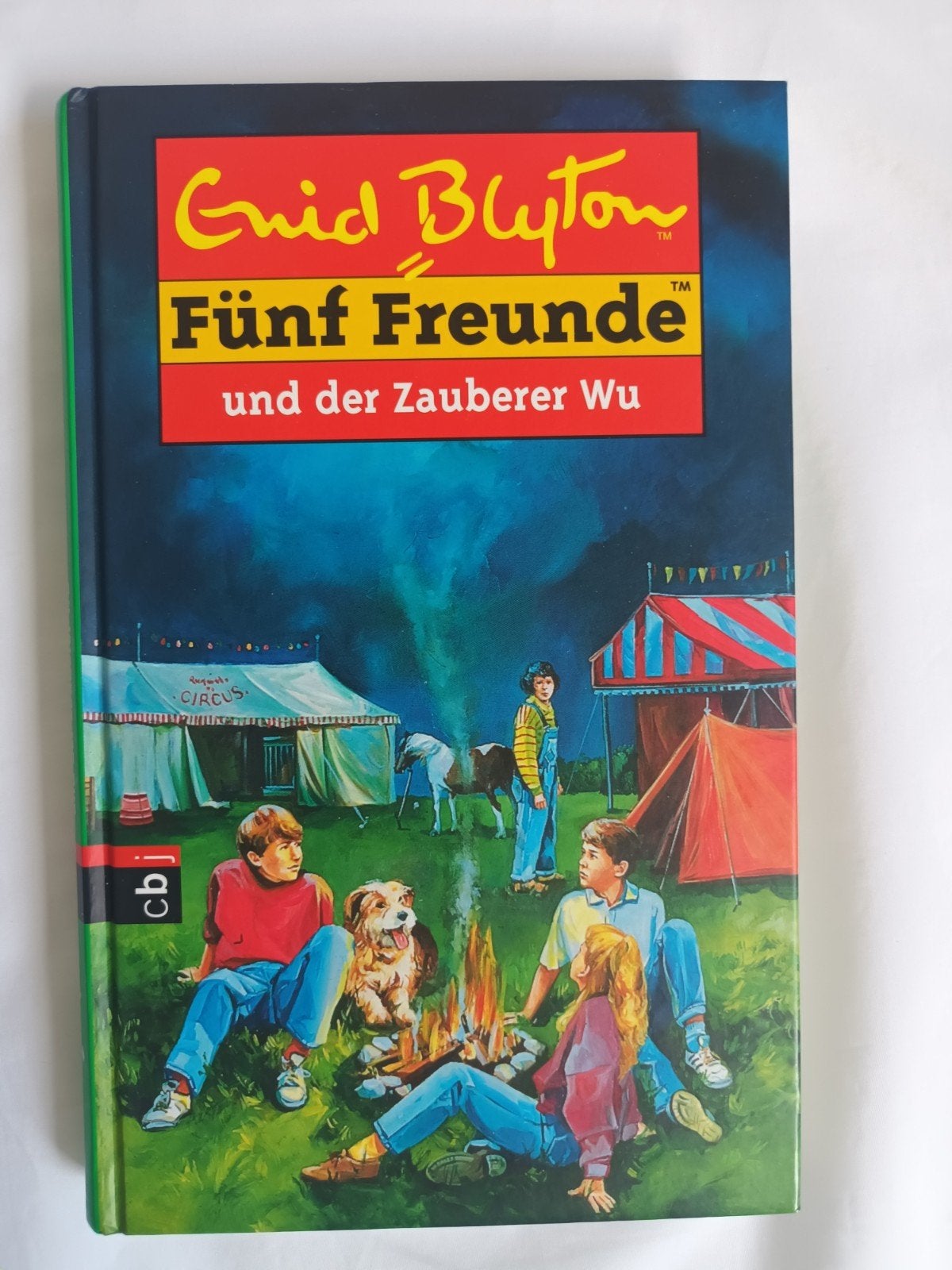 Fünf Freunde und der Zauberer Wu - Enid Blyton (Duits), Ophalen of Verzenden, Zo goed als nieuw, Enid Blyton, Fictie