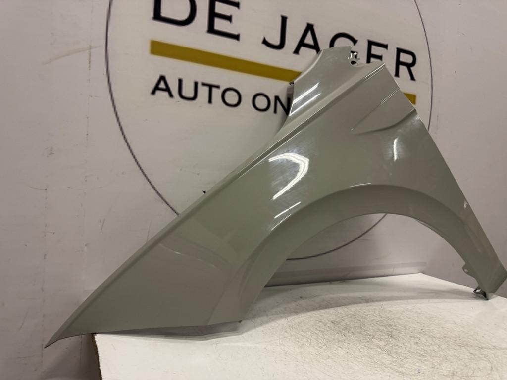 VOLKSWAGEN POLO 2G VOORSCHERM SPATBORD LINKS 2G0821105, Gebruikt, Volkswagen, Volkswagen AG, Voor