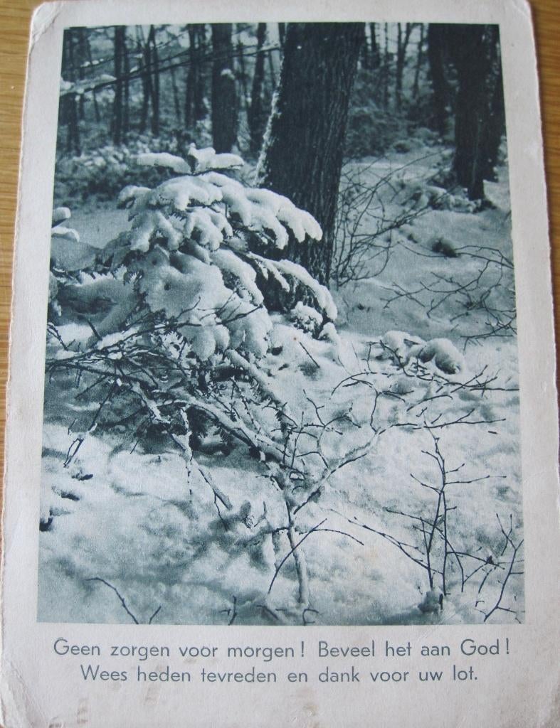 spreuken - Geen zorgen voor morgen - besneeuwde takken, Verzenden, 1920 tot 1940, Gelopen, Overige thema's