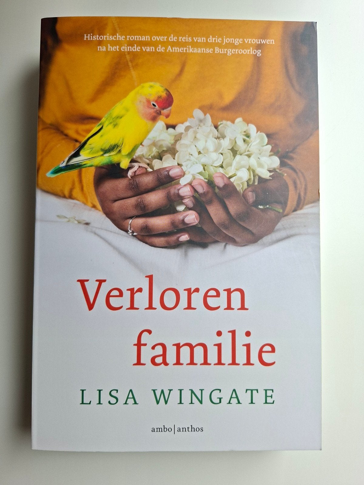 Verloren familie - Lisa Wingate (Historische roman), Ophalen of Verzenden