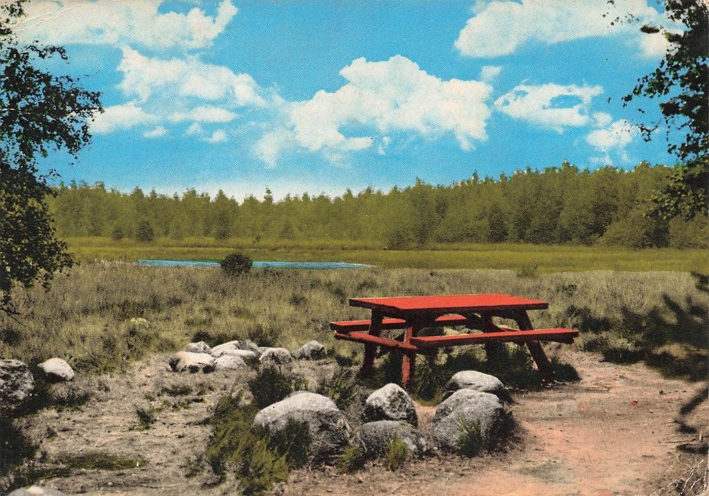 Groeten uit Gasselte, Ophalen of Verzenden, 1980 tot heden, Gelopen, Drenthe