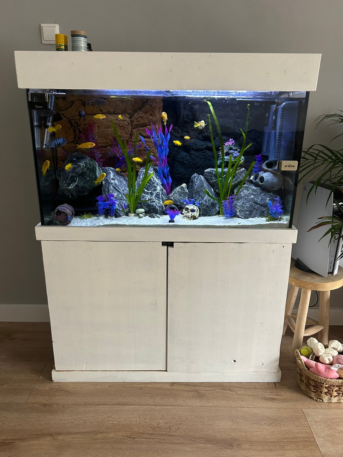 Aquarium leeg of met wat toebehoren af te halen binnenkort, Ophalen, Gebruikt, Leeg aquarium, Overige merken