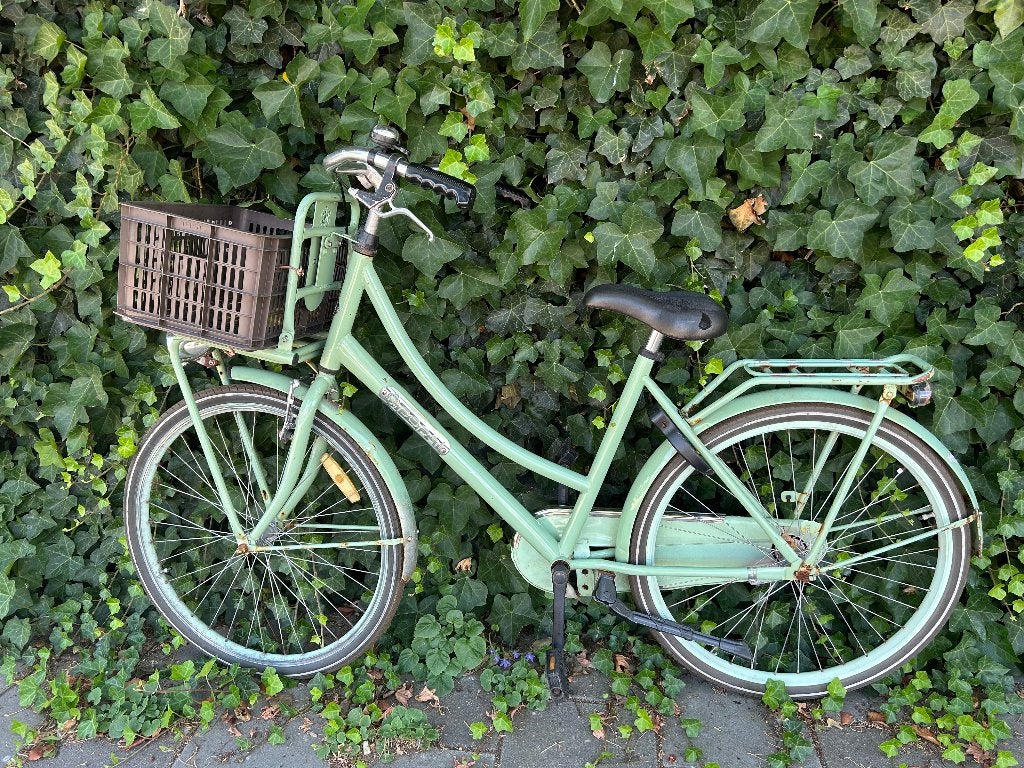 Popal meisjesfiets met mand, Ophalen, Terugtraprem, Handrem, Popal