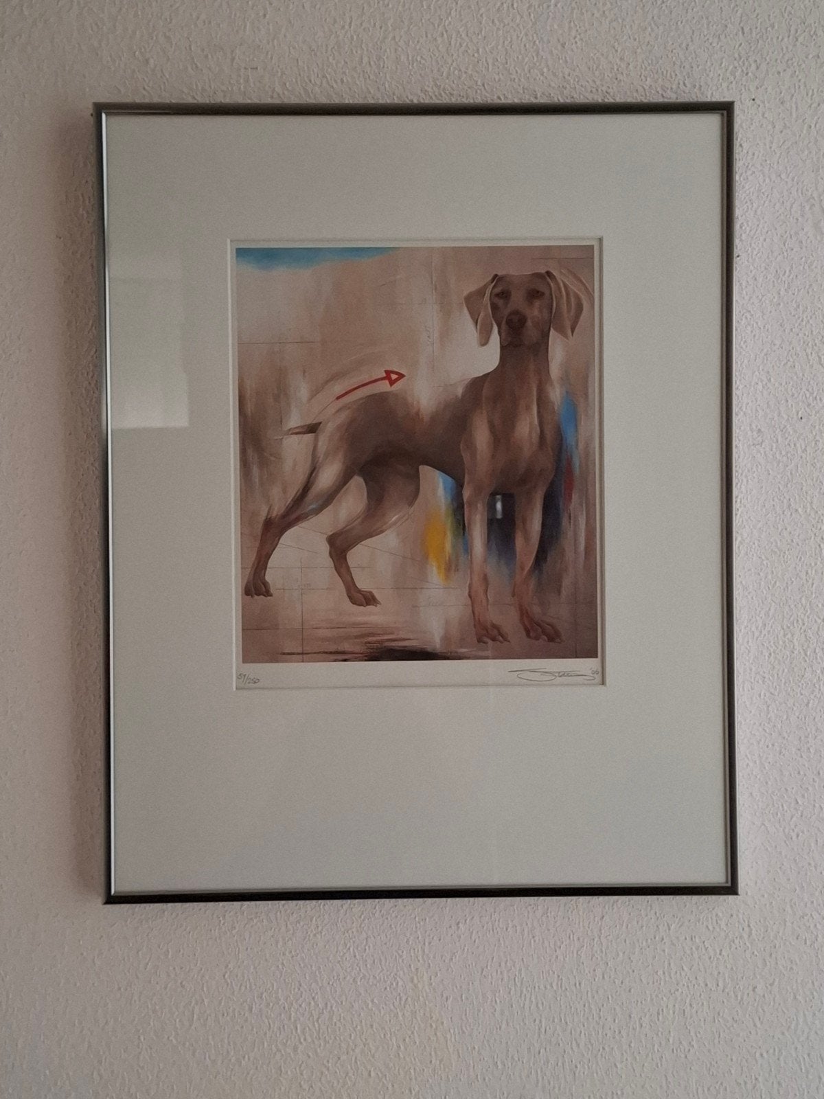 Weimaraner (door Sylvia Takken), gesigneerd & genummerd, Ophalen of Verzenden