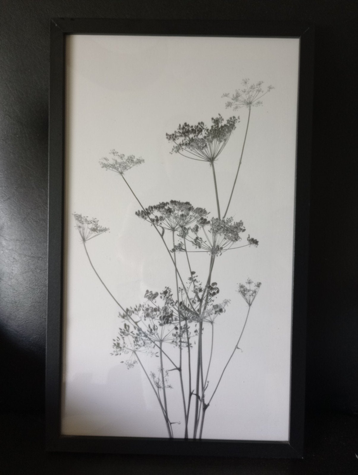 Ingelijst poster, Ophalen, Minder dan 50 cm, Zo goed als nieuw, Foto of Poster