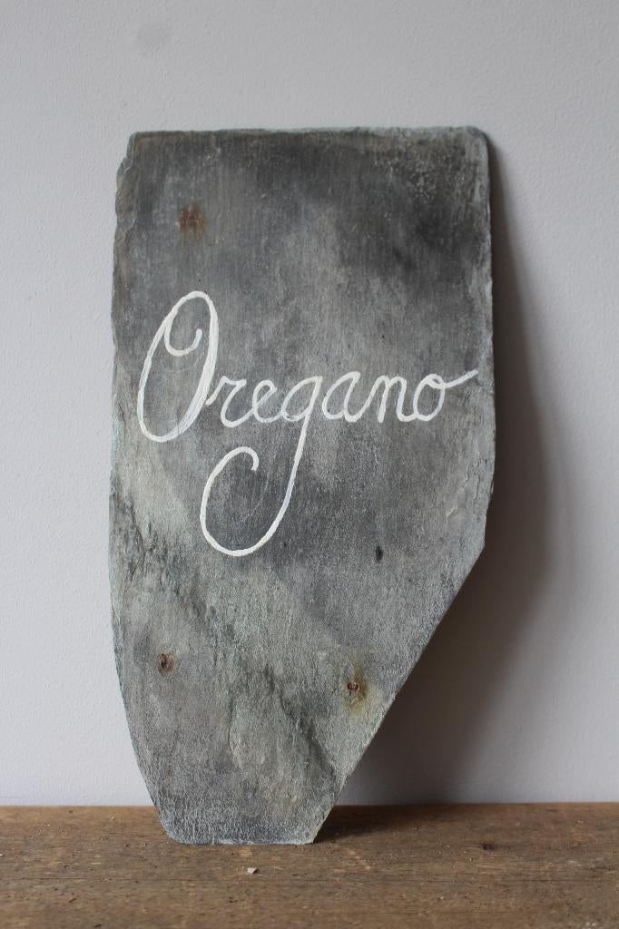 Oude sleetse lei / kruidensteker Oregano *Pronck & Praal*, Ophalen of Verzenden