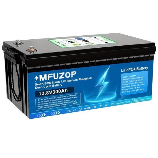 Accubatterij – LiFePO4 Accu – Lithium Accu – 12V Batterij, Hobby en Vrije tijd, Overige Hobby en Vrije tijd, Nieuw, Verzenden