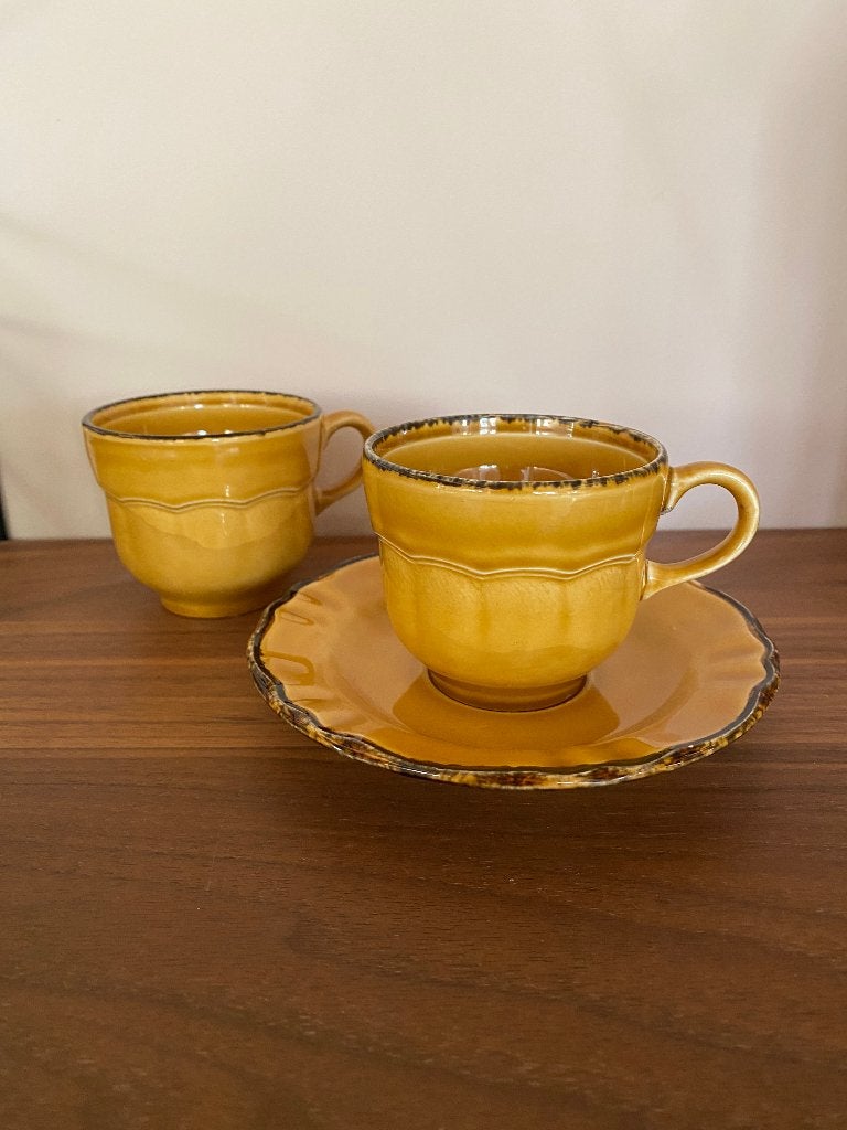 Pagnossin Treviso 2 kopjes en 1 schotel vintage, Ophalen of Verzenden