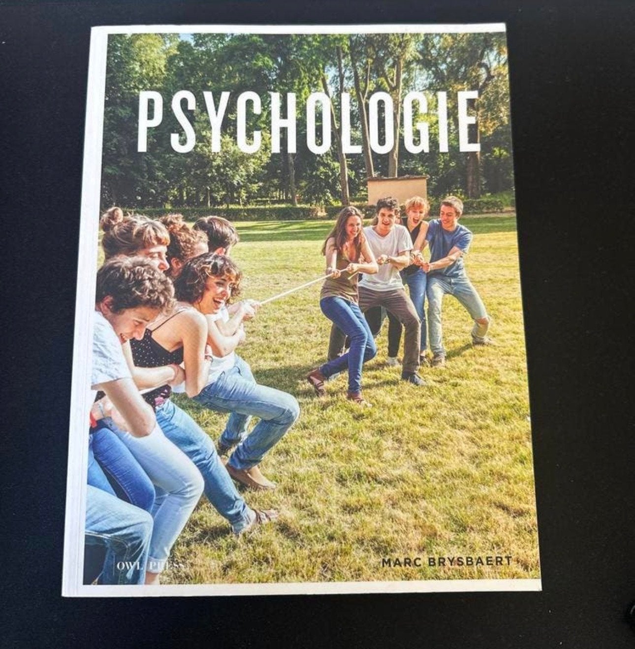 Psychologie - Marc Brysbaert (Studieboek), Boeken, Psychologie, Ophalen of Verzenden, Zo goed als nieuw, Overige onderwerpen