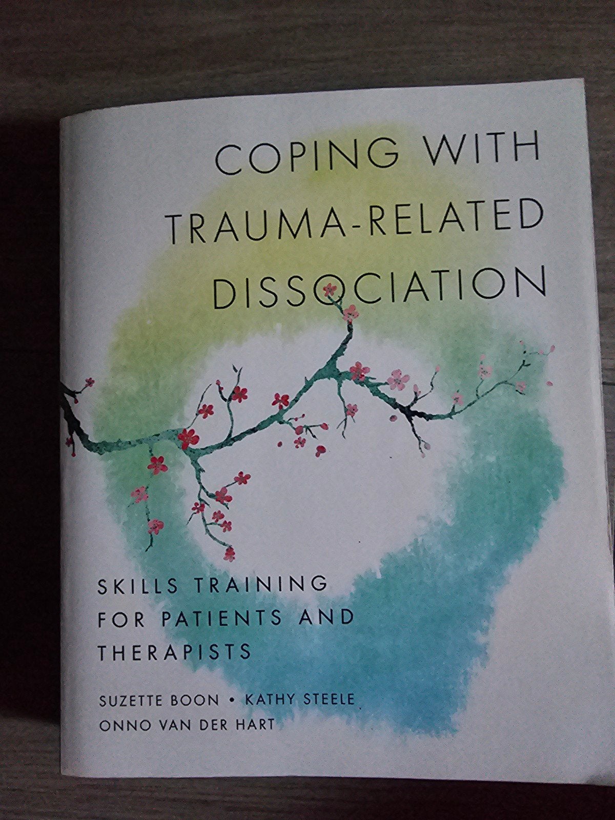 coping with trauma related dissociating, Boeken, Meerdere auteurs, Suzette boon, Nieuw, Ophalen of Verzenden