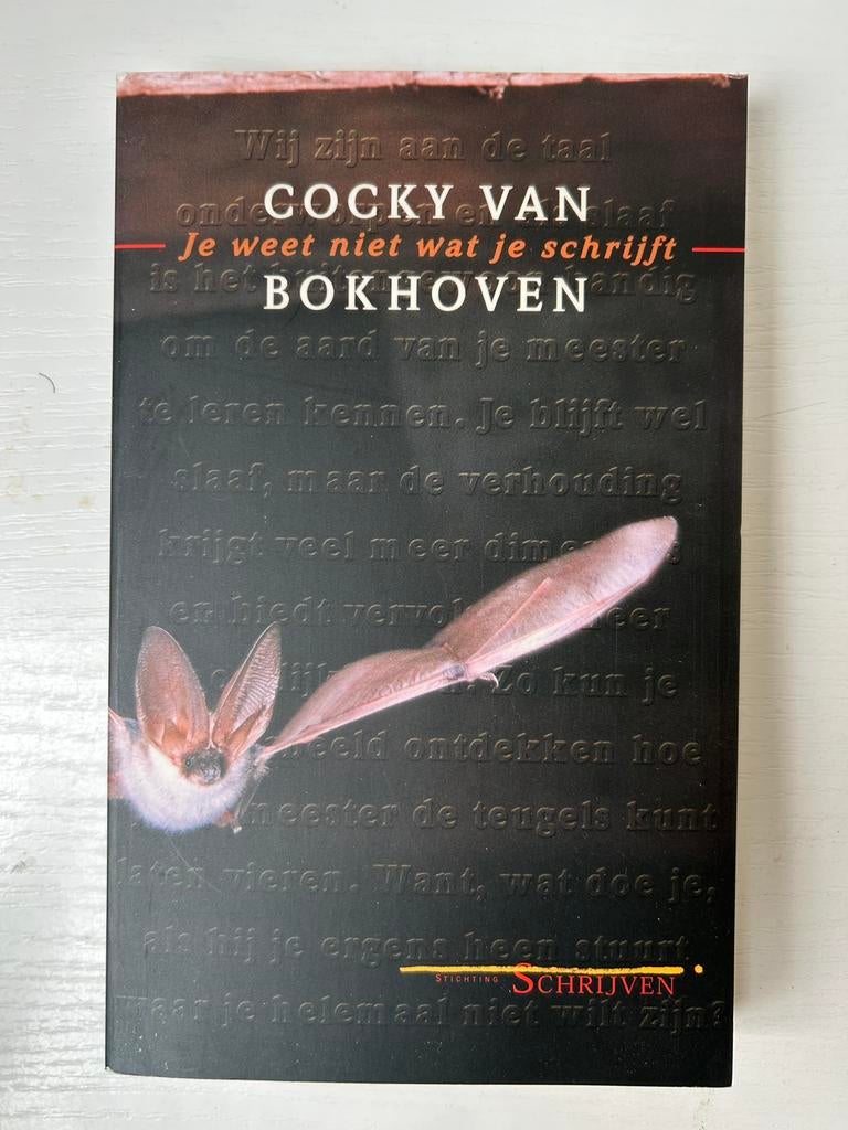 c. van Bokhoven - Je weet niet wat je schrijft, Gelezen, Ophalen of Verzenden, C. van Bokhoven, Nederlands
