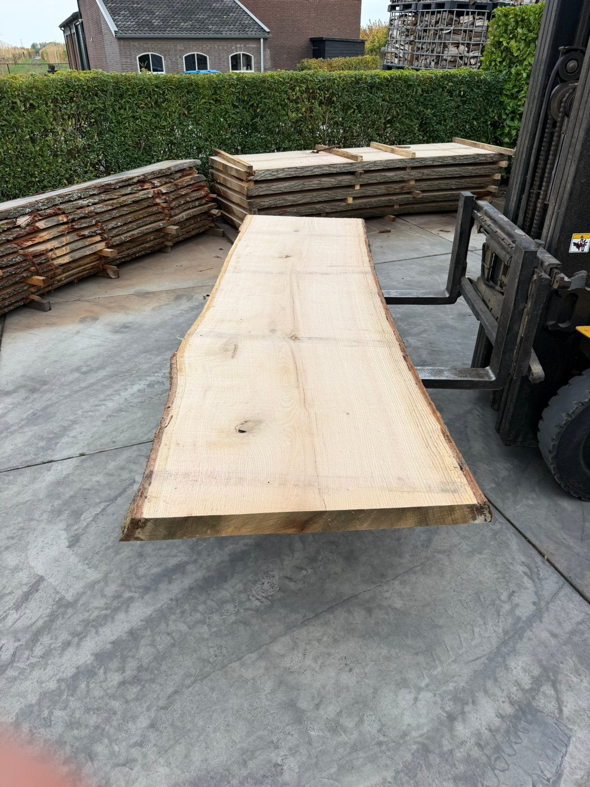 9 grote boomstambladen 300x80-90x8cm, Ophalen, Zo goed als nieuw, 250 cm of meer, Planken